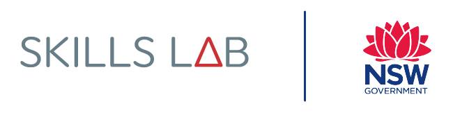 Skills Lab NETM logo box (2)