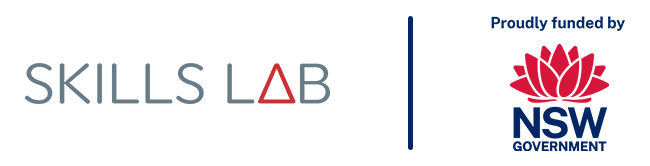 Skills Lab NETM logo box